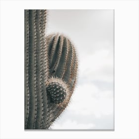Saguaro Cactus Arms Canvas Print