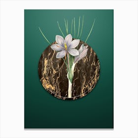 Vintage Autumn Crocus Botanical in Gilded Marble on Dark Spring Green Canvas Print