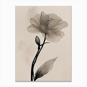 Gladioli Line Art Flowers Illustration Neutral 17 Canvas Print