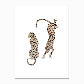 Leopards Canvas Print