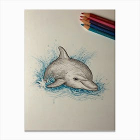Dolphin Drawing Canvas Print