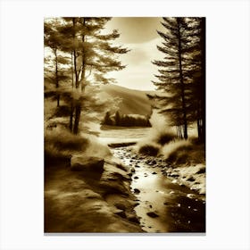 Sepia 10 Canvas Print