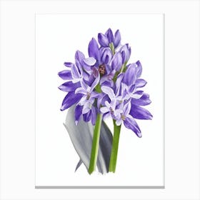 Hyacinth Wildflower Watercolour Canvas Print