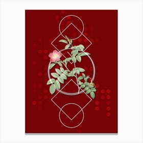 Vintage Pink Alpine Rose Botanical with Geometric Line Motif and Dot Pattern n.0276 Canvas Print