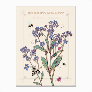Forget Me Not On Cream Canvas Print