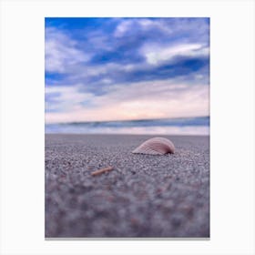 Shell By The Sea Canvas Print