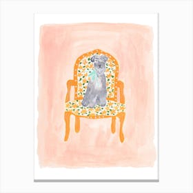 Schnauzer on Chair Canvas Print
