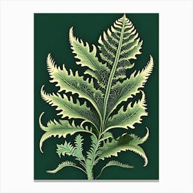 Ruffled Fern Vintage Botanical Poster Canvas Print