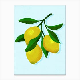 Lemons Canvas Print