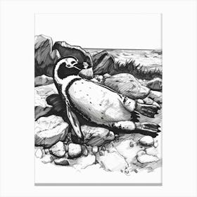 African Penguin Sunbathing On Rocks 3 Canvas Print