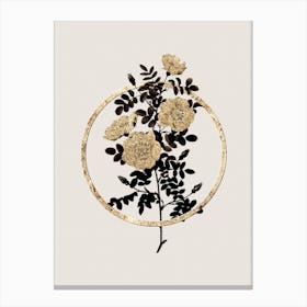 Gold Ring White Burnet Roses Glitter Botanical Illustration n.0320 Canvas Print
