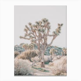 Joshua Tree Boulder Canvas Print