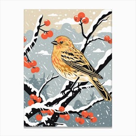 Bird Illustration Finch 2 Canvas Print