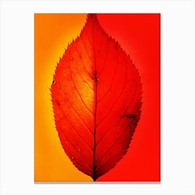 Autumn Leaf Canvas Print