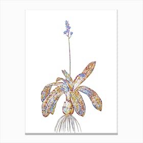Stained Glass Scilla Lilio Hyacinthus Mosaic Botanical Illustration on White Canvas Print