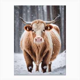 Cow In The Snow Canvas Print