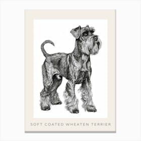 Soft Coated Wheaten Terrier Dog Line Sketch 1 Poster Canvas Print