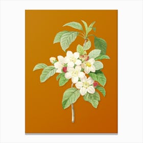 Vintage Apple Blossom Botanical on Sunset Orange n.0475 Canvas Print