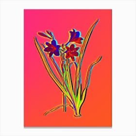 Neon Daylily Botanical in Hot Pink and Electric Blue n.0570 Canvas Print