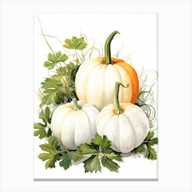 White Pumpkin Watercolour Illustration 1 Canvas Print