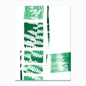 Fern blocks Canvas Print