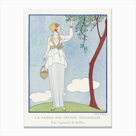 La Saison Des Prunes Mirabelles Robe D Après Midi De Redfern (1914), George Barbier Canvas Print