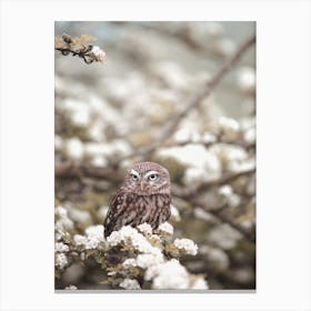 Burrowing Owl In Flowers Canvas Print