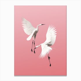 Two White Cranes In Flight Canvas Print