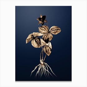Gold Botanical Trillium Rhomboideum on Midnight Navy Canvas Print
