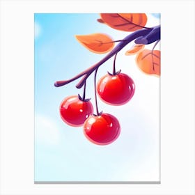 Red Berries On A Branch Canvas Print