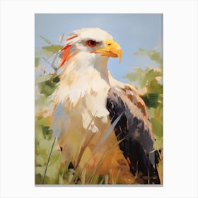 Bird Painting Crested Caracara 2 Canvas Print