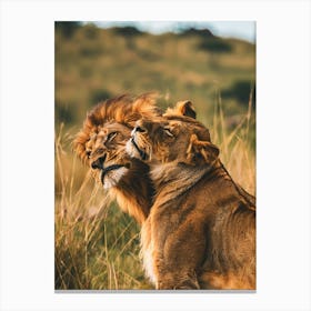 Lions In The Grass Canvas Print