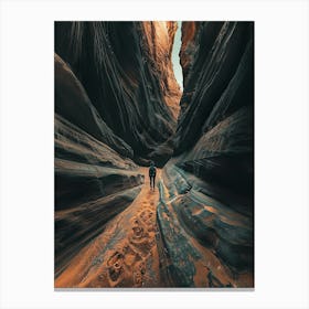 Man Walking Through A Canyon Canvas Print