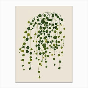 String Of Pearls Plant Minimalist Illustration 5 Canvas Print