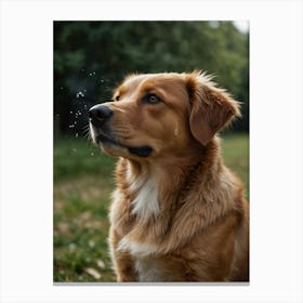 Golden Retriever Dog Canvas Print