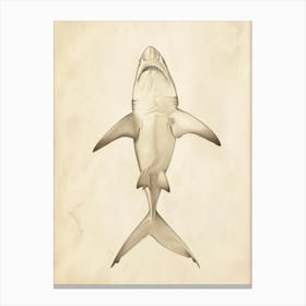 Smallscale Cookiecutter Shark Vintage Illustration 1 Canvas Print