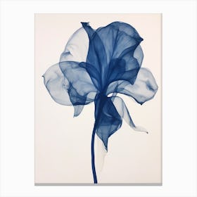 Blue Botanical Calla Lily 2 Canvas Print