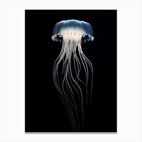 Comb Jellyfish Transparent 3 Canvas Print