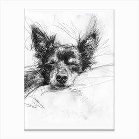 Portuguese Podengo Pequeno Dog Charcoal Line 3 Canvas Print