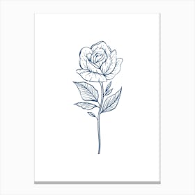 Rose Flower Isolated On White Background Canvas Print
