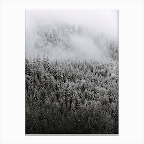 Black And White Fog Forest Canvas Print