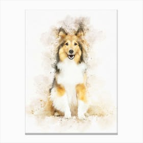 Shetland Dog 1 Canvas Print