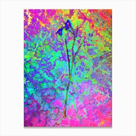 Blue Pipe Botanical in Acid Neon Pink Green and Blue n.0312 Canvas Print