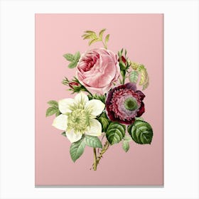 Vintage Anemone Rose Botanical on Soft Pink n.0095 Canvas Print