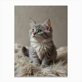 Cute Kitten 11 Canvas Print