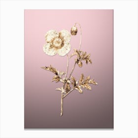 Gold Botanical Welsh Poppy on Rose Quartz n.2561 Canvas Print