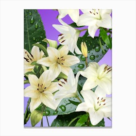 White Lilies Canvas Print