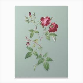 Vintage Velvet China Rose Botanical Art on Mint Green n.0223 Canvas Print
