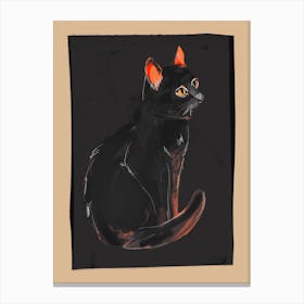 Cat 10 Canvas Print