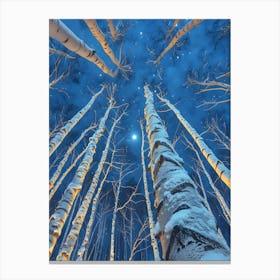 Birch Trees At Night Canvas Print